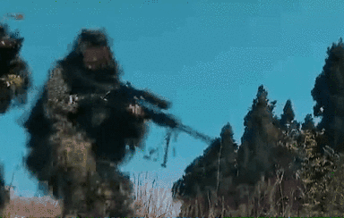 突入，擊斃！直擊武警特戰(zhàn)反劫持演練！