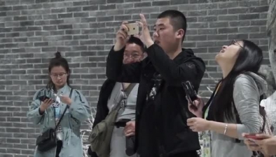 北京4月飄雪，鵝毛還是狂風任你呼喚