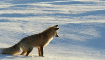 寒潮再襲 網(wǎng)友靈魂拷問：這么冷為何還不下雪？