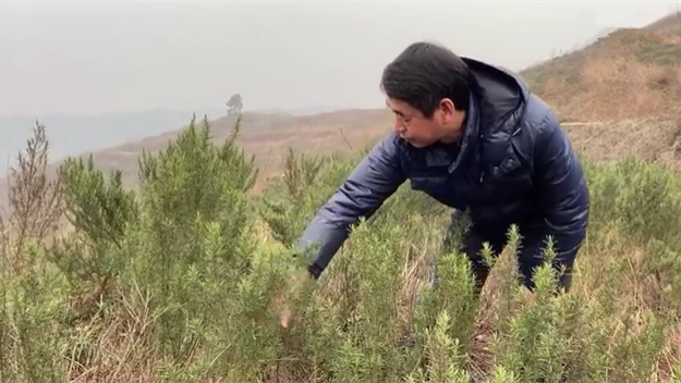 新春走基層｜脫貧后，駐村扶貧隊(duì)長(zhǎng)在干啥？