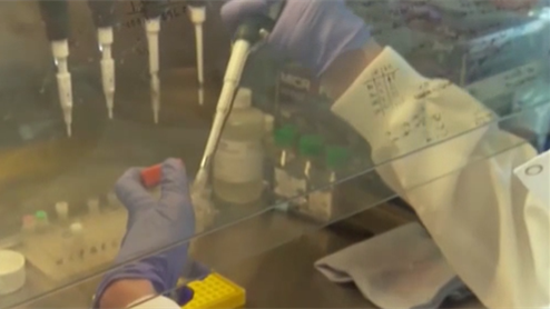 美國：專家&mdash;&mdash;南非和巴西發(fā)現(xiàn)的變異株很難確診