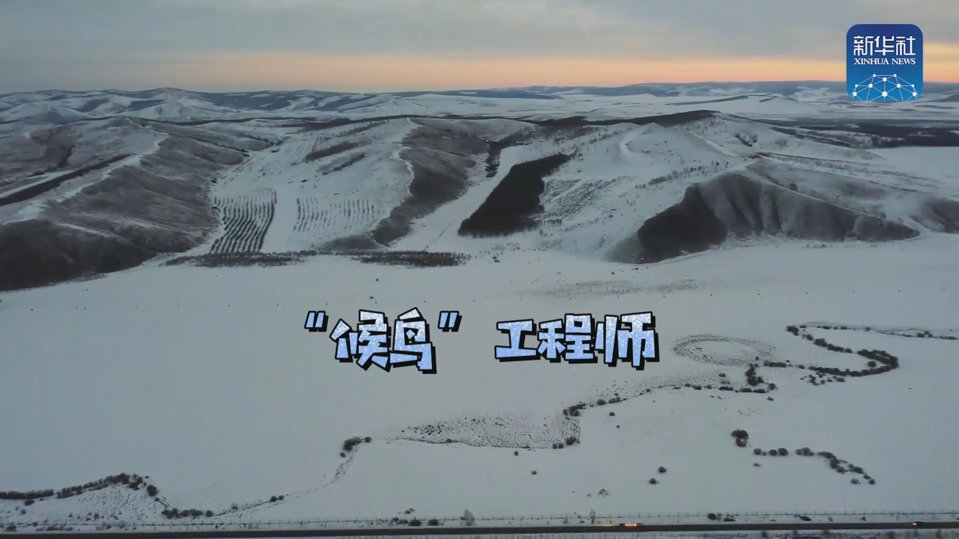 我們?cè)诒寂茇宦废虮?！他是逆行?ldquo;候鳥&rdquo;