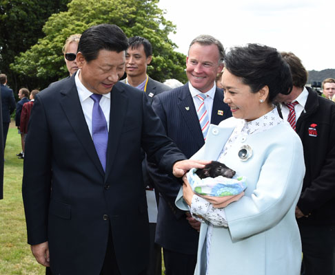 11月18日，國(guó)家主席習(xí)近平在澳大利亞塔斯馬尼亞州與朗塞斯頓市斯科奇－歐克伯恩小學(xué)的小學(xué)生共同植樹(shù)。這是習(xí)近平和夫人彭麗媛植樹(shù)后撫摸袋獾。新華社記者 馬占成 攝