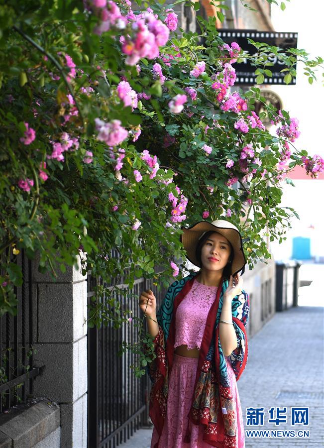 （上合青島峰會(huì)）（9）青島：花滿(mǎn)島城待賓朋