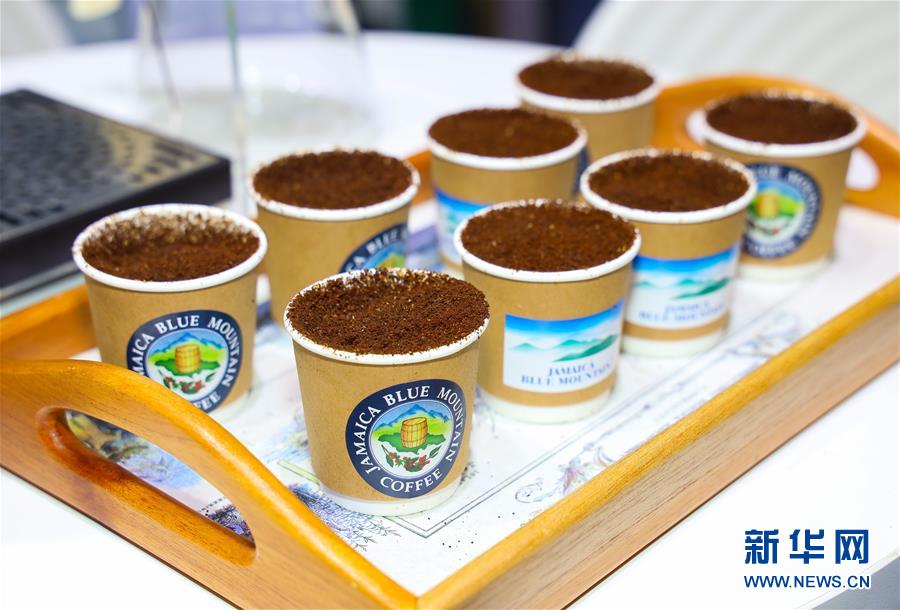 （新華全媒頭條&middot;圖文互動(dòng)）（15）人間正道 浩蕩前行&mdash;&mdash;習(xí)近平主席出席首屆中國(guó)國(guó)際進(jìn)口博覽會(huì)紀(jì)實(shí)