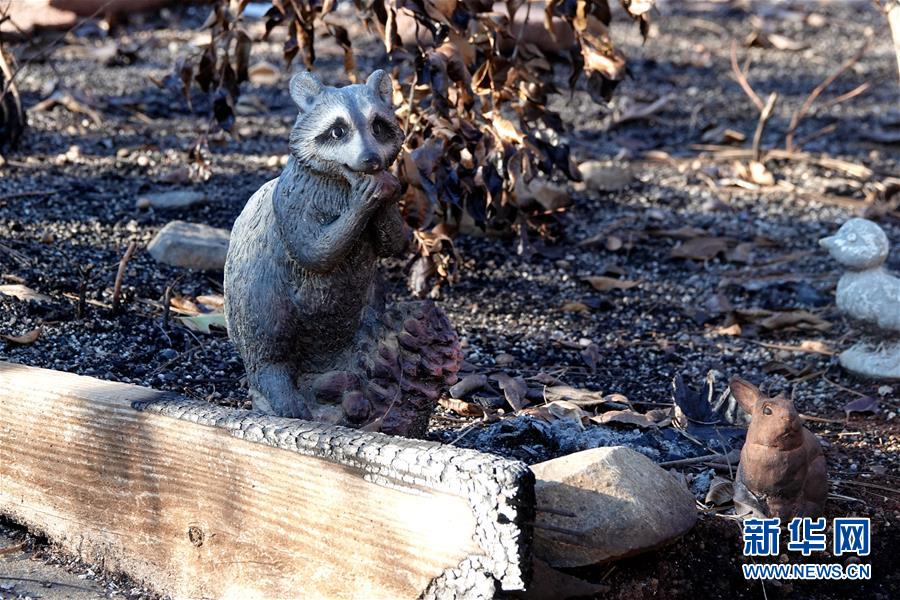 （國際&middot;圖文互動(dòng)）（4）一場山火，讓這個(gè)冬天格外冷&mdash;&mdash;探訪美國加州山火災(zāi)區(qū)