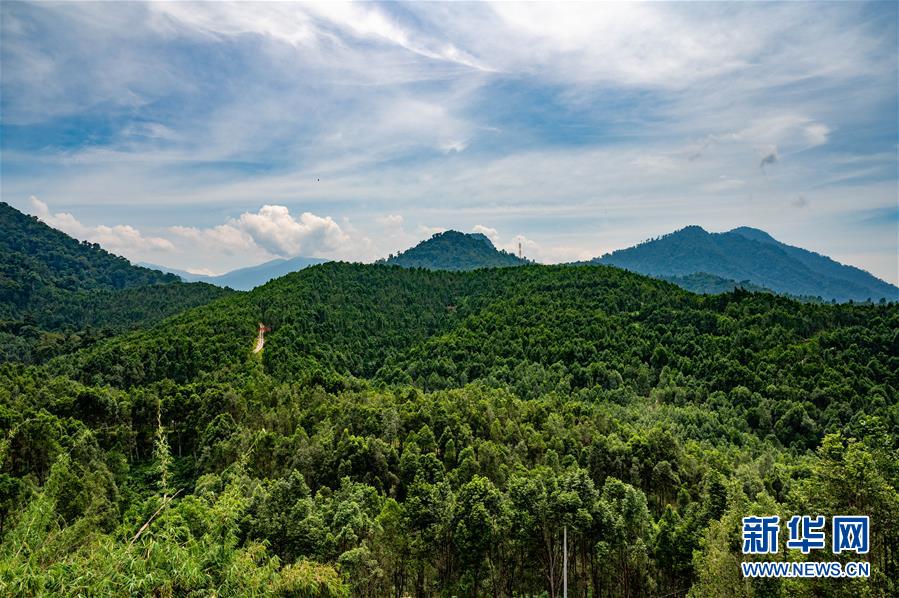 （第三屆進博會&middot;圖文互動）（2）專訪：進博會提供了一個共享中國發(fā)展機遇的平臺