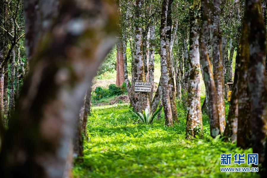 （第三屆進博會&middot;圖文互動）（3）專訪：進博會提供了一個共享中國發(fā)展機遇的平臺