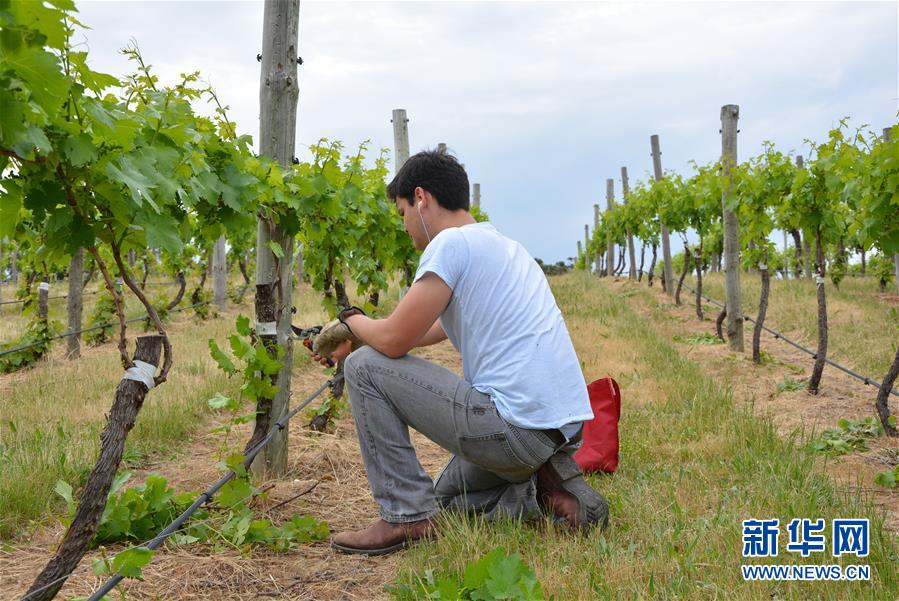 （第三屆進(jìn)博會(huì)&middot;圖文互動(dòng)）（7）專訪：進(jìn)博會(huì)是了解中國(guó)市場(chǎng)的好機(jī)會(huì)&mdash;&mdash;訪澳大利亞諾瓦維塔葡萄酒集團(tuán)創(chuàng)始人卡臣