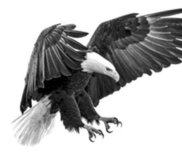 誰是世界秩序的真正破壞者？