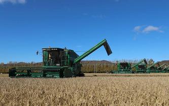 &ldquo;北大荒&rdquo;大農(nóng)機搶收忙