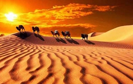 自然延伸 揚帆遠(yuǎn)航&mdash;&mdash;"一帶一路"的拉美故事